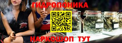МДПВ Лесосибирск