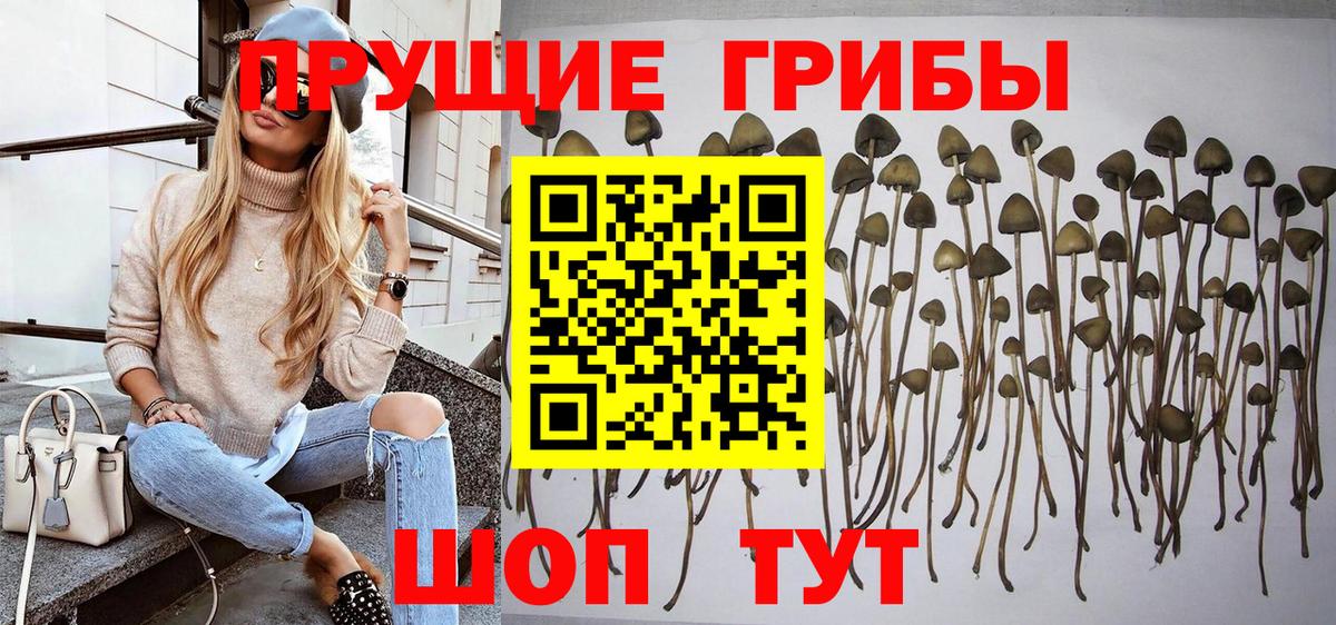 Псилоцибиновые грибы Magic Shrooms Клинцы