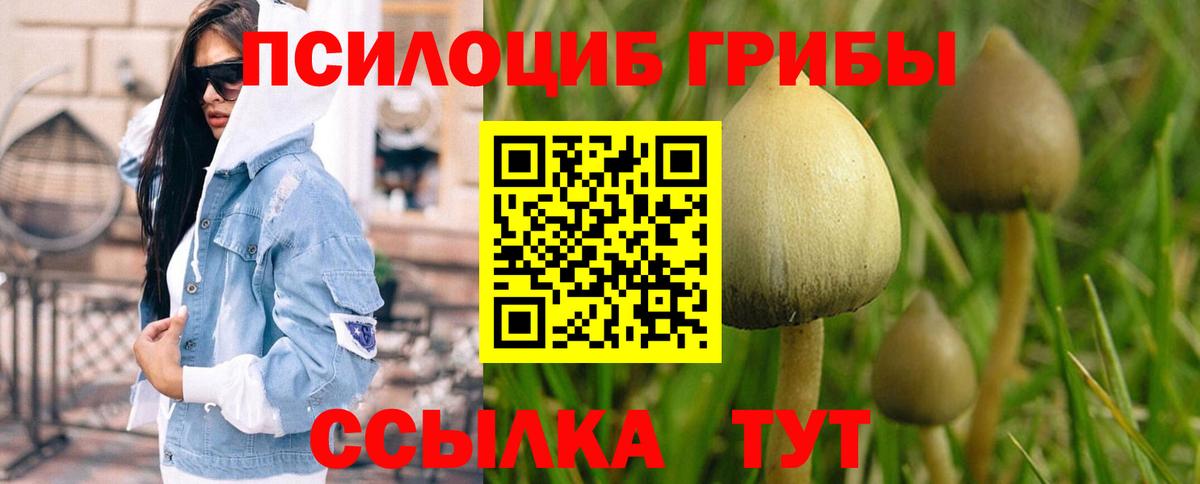 Галлюциногенные грибы Psilocybe  Вход с VPN  Псилоцибиновые грибы прущие грибы  Клинцы 
