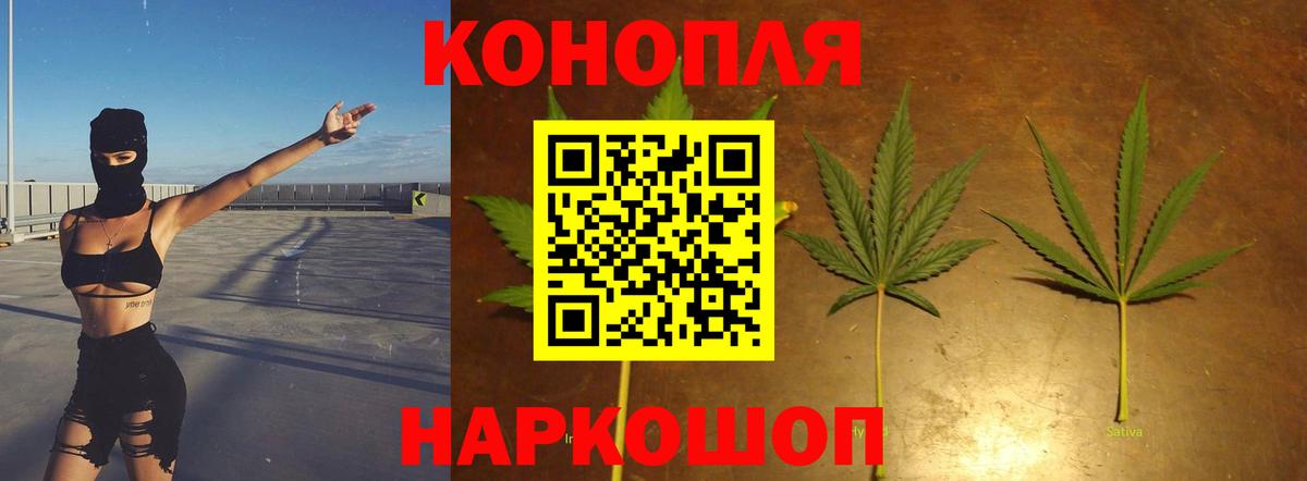 Каннабис SATIVA & INDICA Клинцы